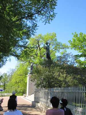 cathgardenstatue